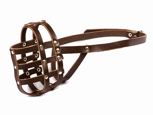 Намордник № 4B — изображение 1