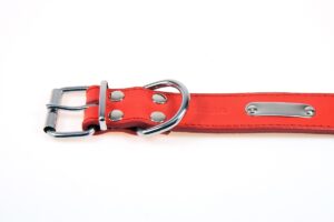 Collar 2-layered 38mm