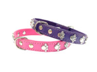 Ошейник PAW 16мм*40см