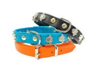 Ошейник PAW 16мм*40см — изображение 2