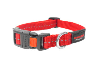 Matis Pet collar 13mm RED