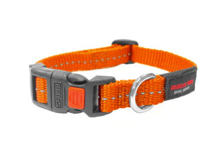 Matis Pet collar 13mm ORANGE