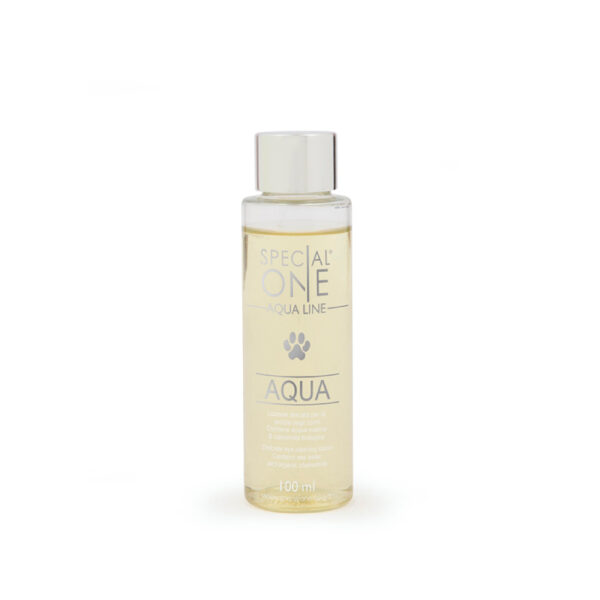 Aqua 100ml — изображение 1