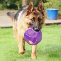 KONG Jumbler Ball L/XL - Image 3