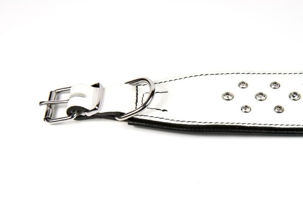 Kaelarihm NALA voodriga 40cm - Image 5