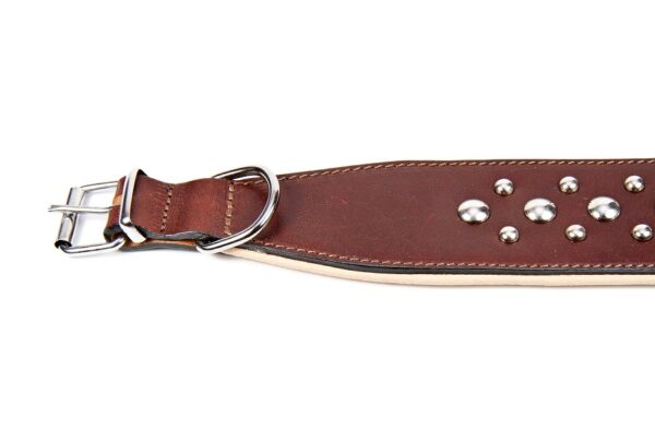 collar olly 45cm Kaelarihm OLLY voodriga 45cm - Image 7