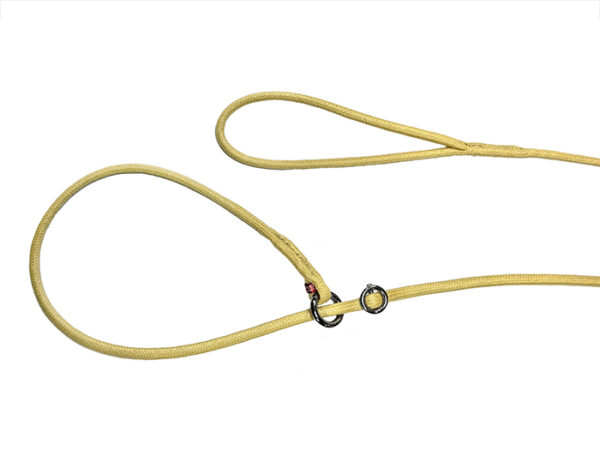 artesano showlead beige ARTESANO näituserihm - BEEŽ - Image 1