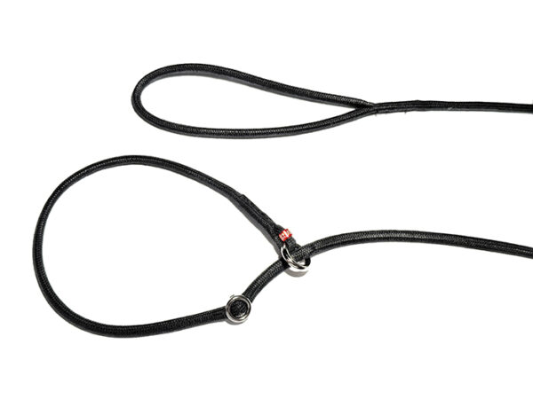 artesano showlead black ARTESANO näituserihm - MUST - Image 1