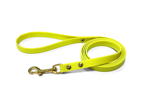 BioThane lead HEXA - YELLOW - Image 1