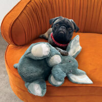 KONG Comfort Kiddos Jumbo Elephant - Image 2