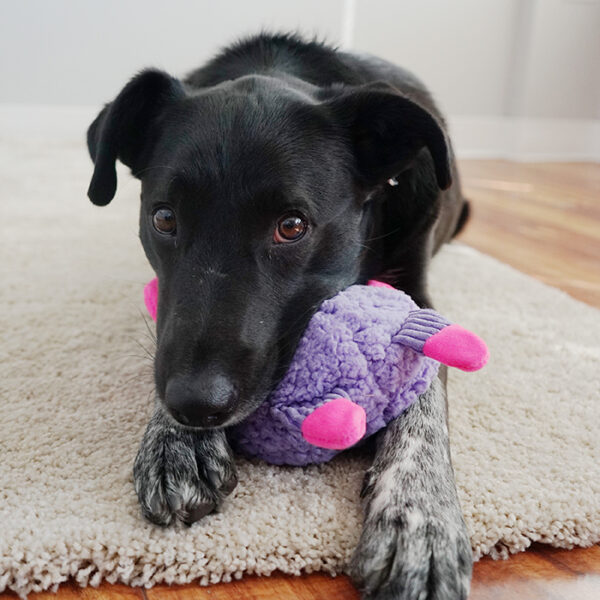 KONG Sherps Floofs Big Horn M - Image 2