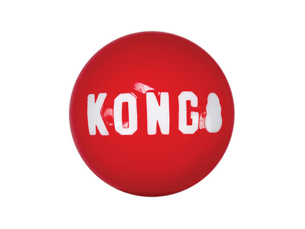 KONG Signature balls L - Image 3