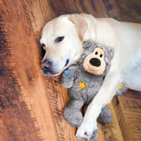 KONG Wild Knots Bear - Image 4