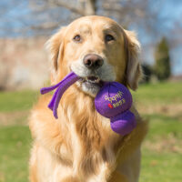 KONG Wubba - Image 2