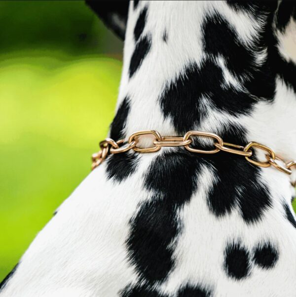 SPRENGER цепь со средним овальным звеном 3.0mm CUROGAN — изображение 2